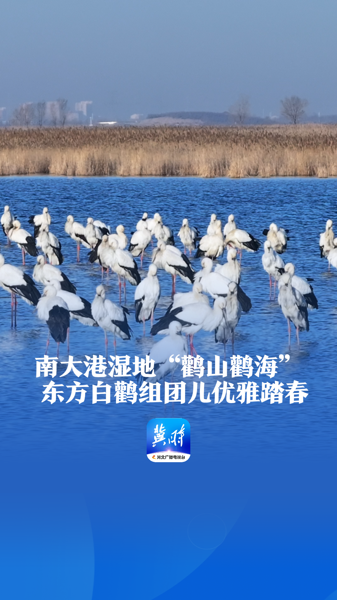 全棉时代：近三年522次抽检100%合格，原材料及产品可追溯