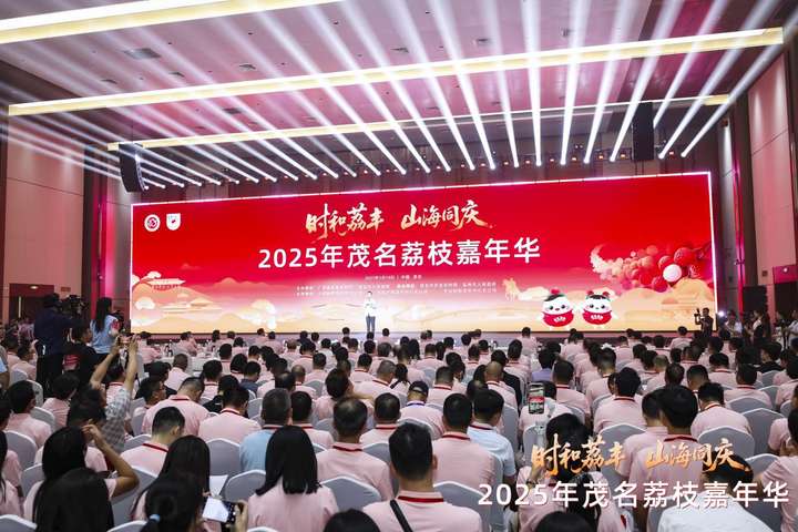 乡村振兴“荔”量担当！顺丰助力茂名荔枝打造“甜蜜经济”