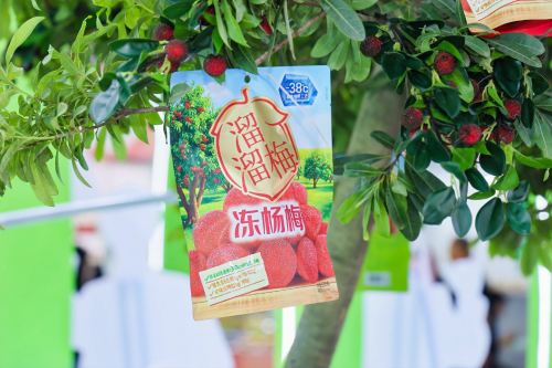 冻杨梅冰爽一夏！溜溜梅告诉你，梅子还能这么吃
