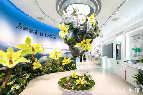从石斛到美肌，植物医生以科研与公益解锁品牌新高度