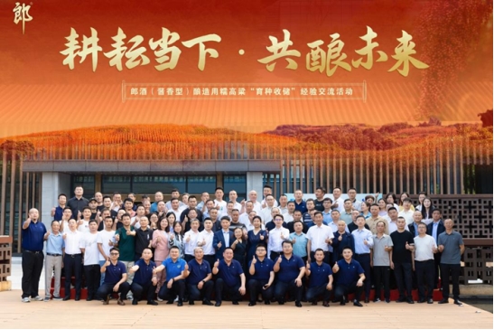耕耘当下 共酿未来，郎酒酿造用糯高粱“育种收储”经验交流活动圆满举行