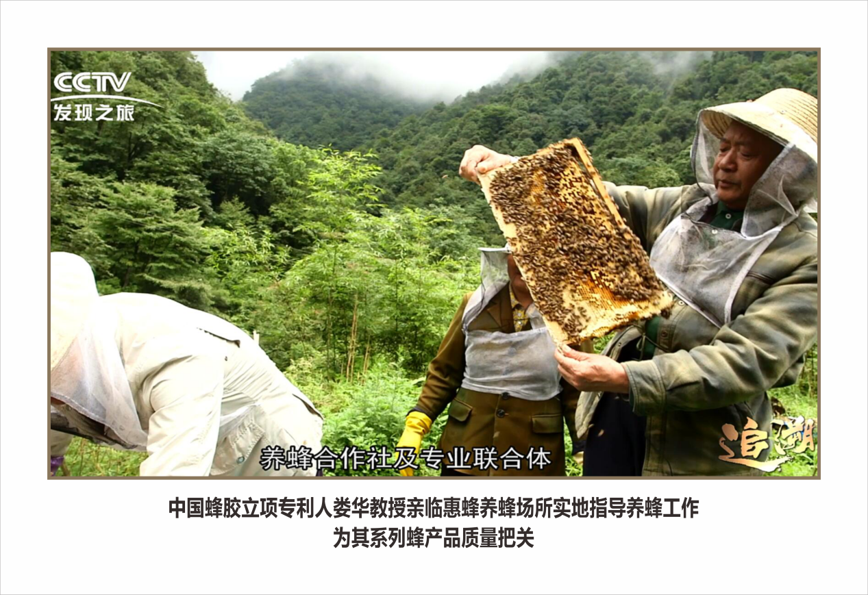 专家护航▪匠心蜂品——北京惠蜂集团：坚守品质信仰，汇聚权威智慧，共筑蜂品品质高地！