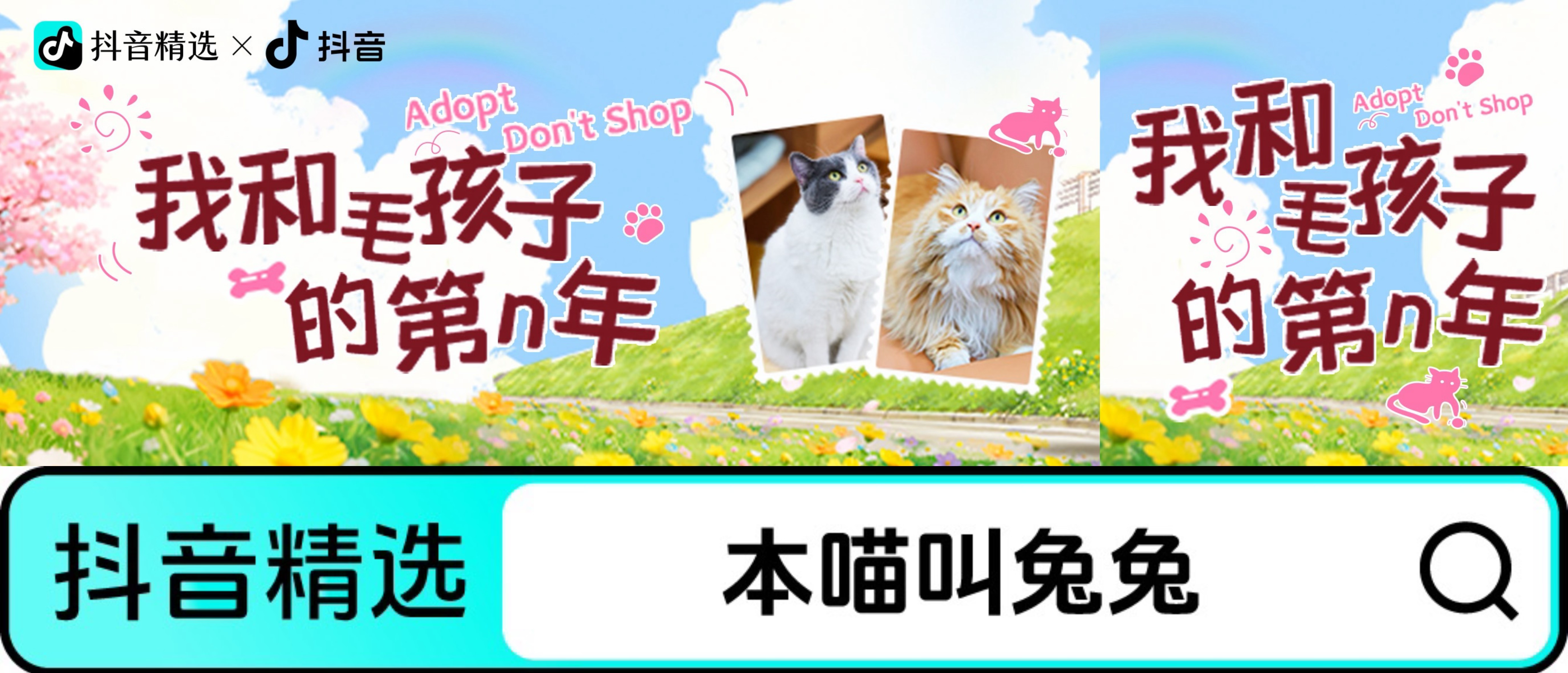 救它花了688，所以它叫“688”：猫德学院五周年，那些气到想揍猫的救助名场面